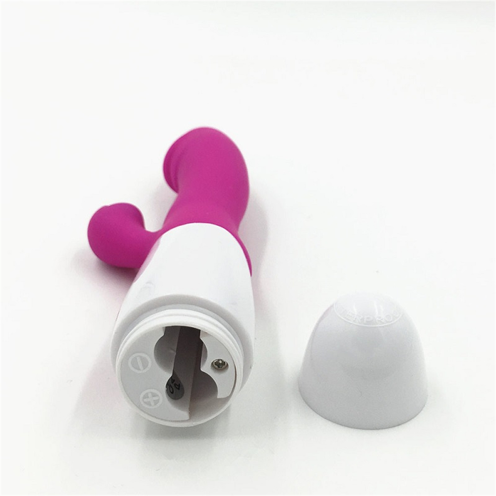 VIBRADOR GSV-12-BR - Imagen 3
