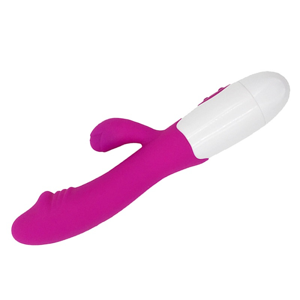 VIBRADOR GSV-12-BR - Imagen 2