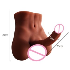 TORSO MASCULINO MEDIO CUERPO MM-209
